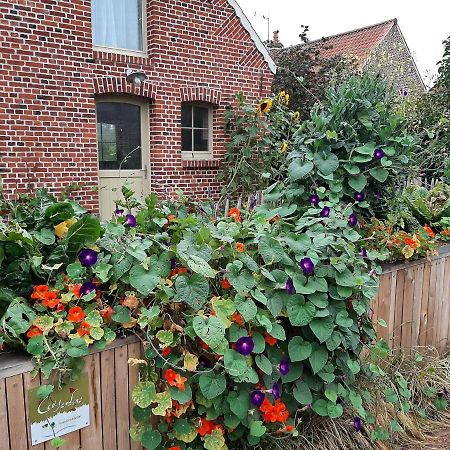 Les Jardins D'Olus Villa Wandignies-Hamage Exterior photo
